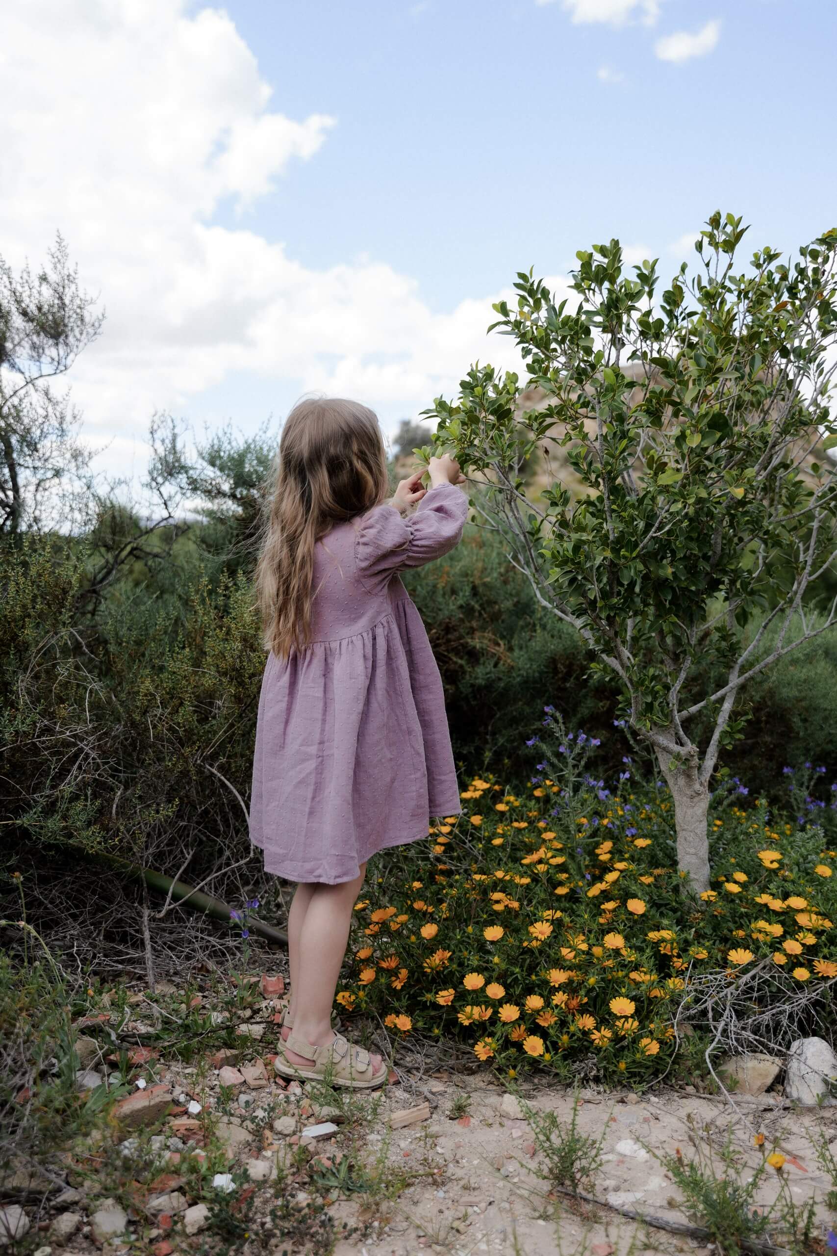 Roe & Joe dress boble lavender