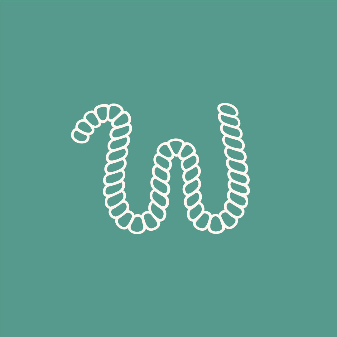 BeWoolly logo