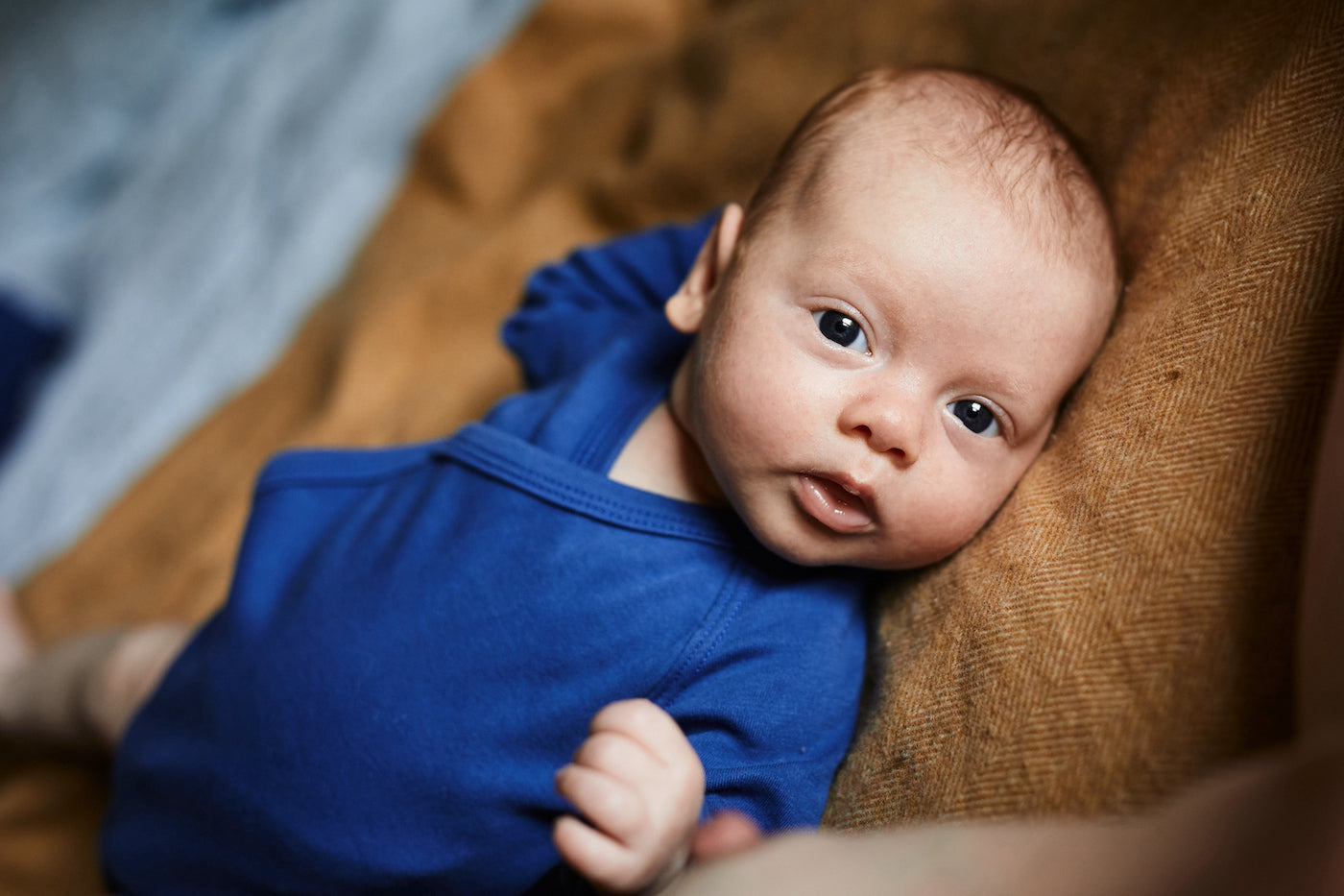 Ein kleines Baby angezogen in kobaltblau wickelbody schaut geradeaus in die Kamera und liegt auf der braunen Decke